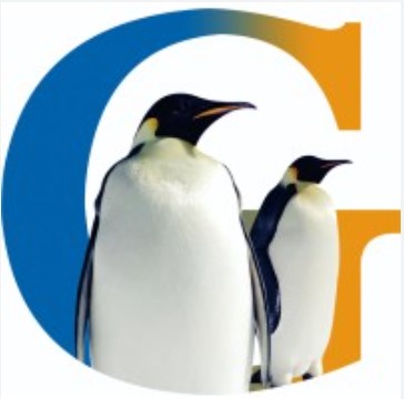 My Website